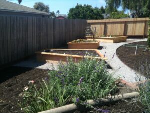 Three new garden boxes.